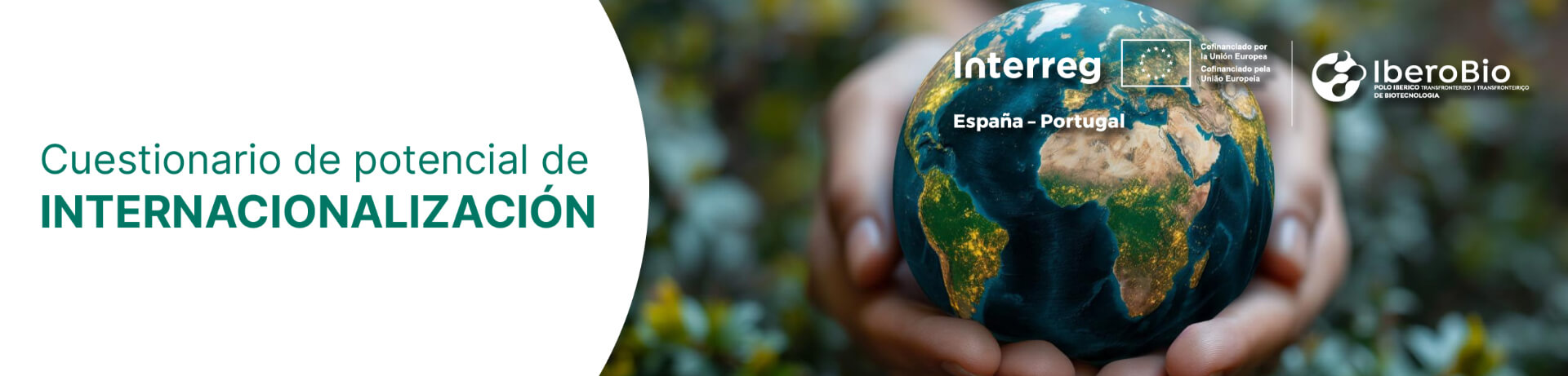 Cuestionario de potencial de internacionalización